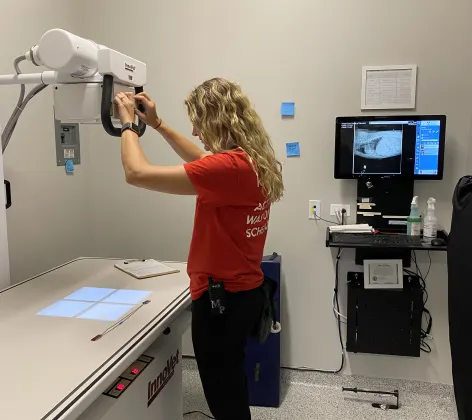 Staff member preparing the x-ray machine